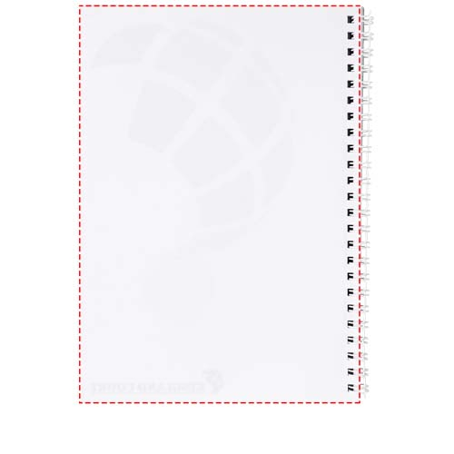 Verso feuille