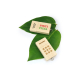 Clé USB en bois personnalisable - ECO WOOD