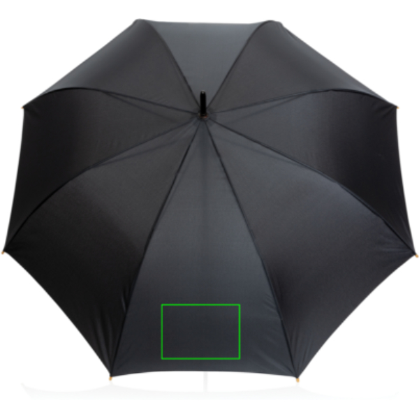 Parapluie