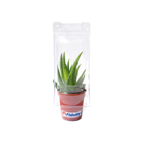 Mini serre cactus en pot publicitaire