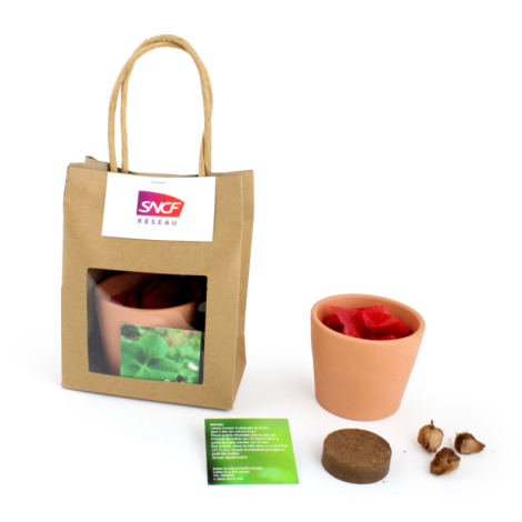 Kit de plantation dans pochon kraft personnalisable