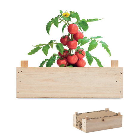 Kit de culture de tomate caissette personnalisée TOMATO