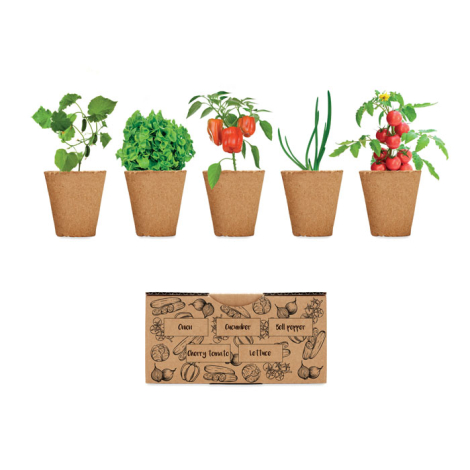 Kit de plantation de légumes publicitaire SALAD