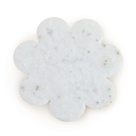 Etuis personnalisable confettis ensemencés