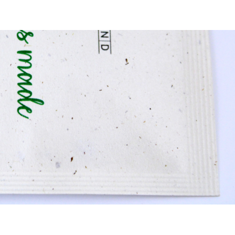 Sachet de graines papier végétal publicitaire 55x55 mm