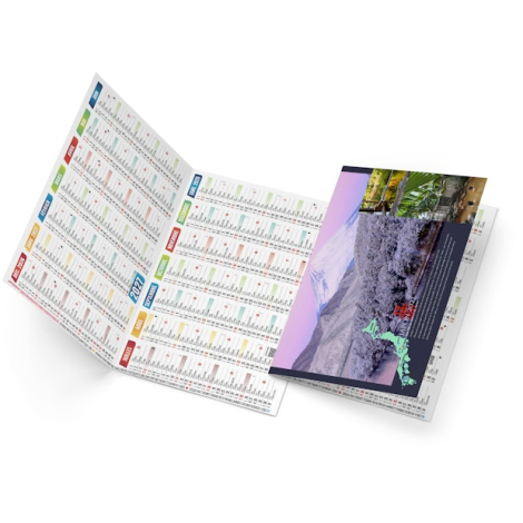 Agenda De Poche 2026 - Calendrier Mensuel Sur 29 Mois (Août 2025 à Décembre 2027) - 16,5x8,9 Cm - Thème Galaxie