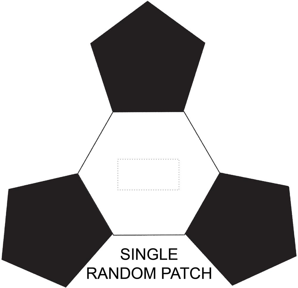 SINGLE RANDOM PATCH