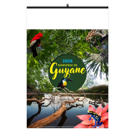 Calendrier illustré publicitaire -Bienvenue en Guyane
