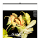 Calendrier illustré publicitaire - Invisible