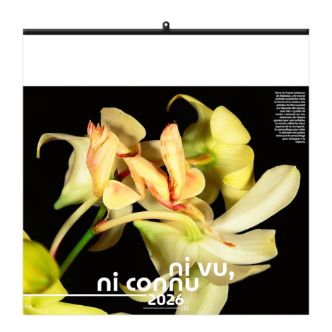 Calendrier illustré publicitaire - Invisible