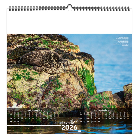 Calendrier illustré publicitaire - Invisible