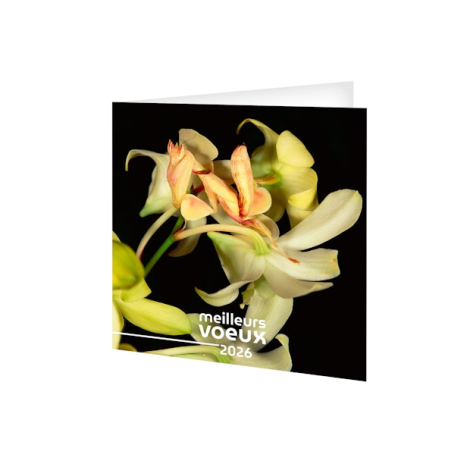 Carte de voeux publicitaire - invisible