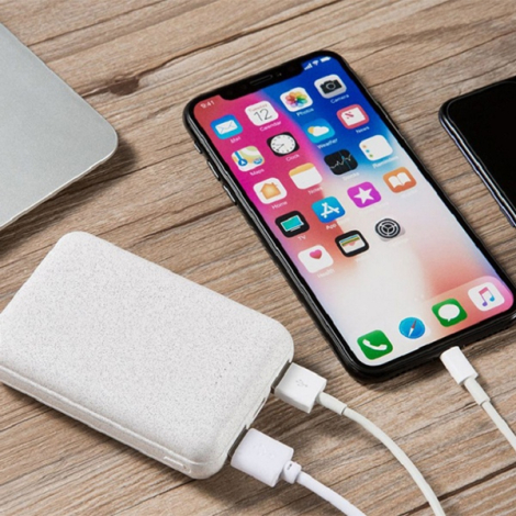 Powerbank personnalisé paille de blé 10 000 mAh KOMUGI