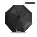 Parapluie Pan 1