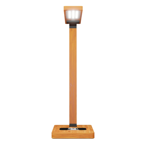 Lampe publicitaire en bambou + induction 10W