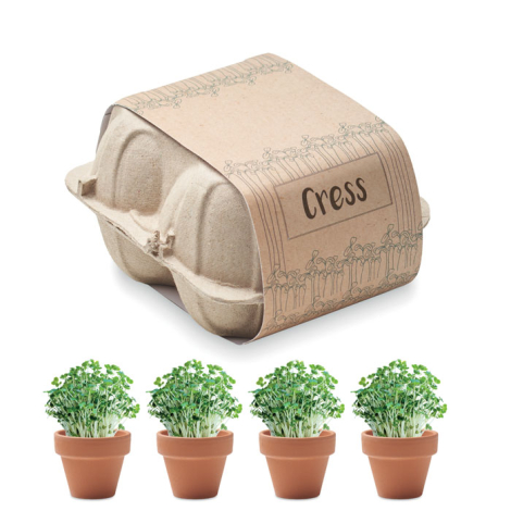 4 Pots avec graines de cresson publicitaires boîte oeufs CRESS