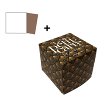 Cube + bague (recto)
