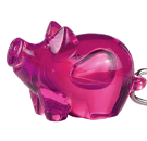 COCHON 