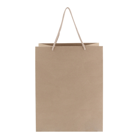 Grand sac en papier promotionnel 30x20x40 cm