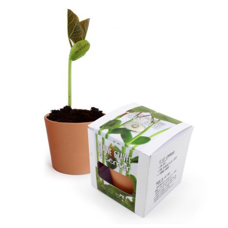 Kit de plantation personnalisable graine gravée