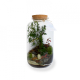 Terrarium tropical personnalisable - 3 formats