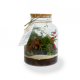 Terrarium tropical personnalisable - 3 formats