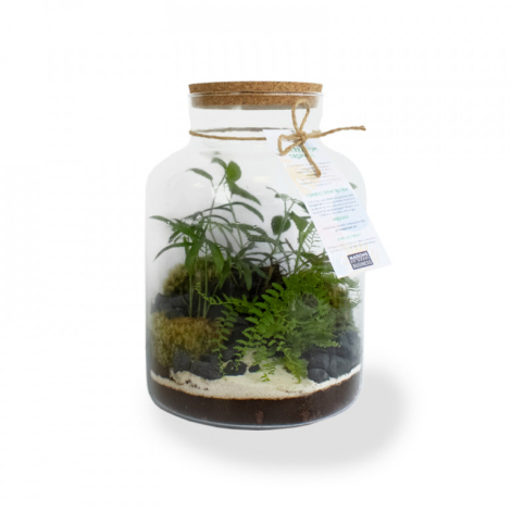 Tapis chauffant pour plantes et terrariums – 25 x 53 cm