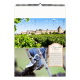 Calendrier illustré publicitaire - De vignobles en châteaux