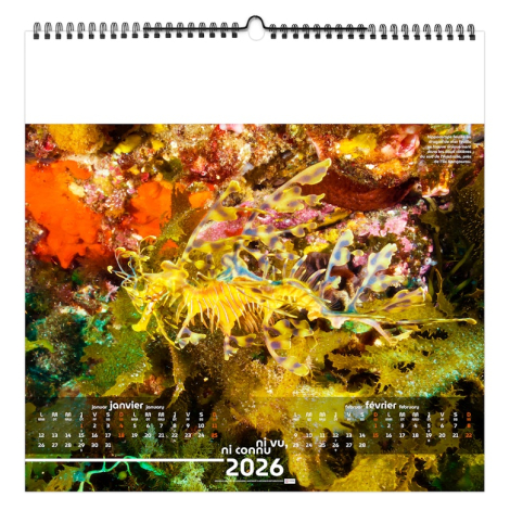 Calendrier illustré publicitaire - Invisible