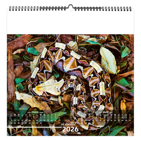 Calendrier illustré publicitaire - Invisible