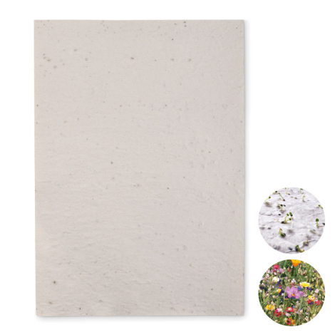 Papier A4 publicitaire graines de fleurs