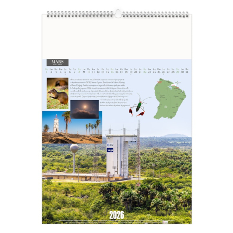 Calendrier illustré publicitaire - Guyane