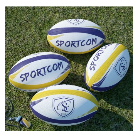 Mini ballon de rugby promotionnel 17 cm