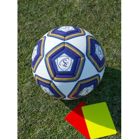 Ballon de football personnalisable taille 5