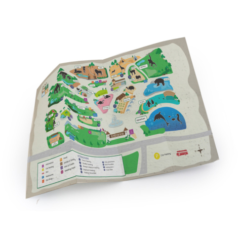 Plan touristique personnalisable papier graines
