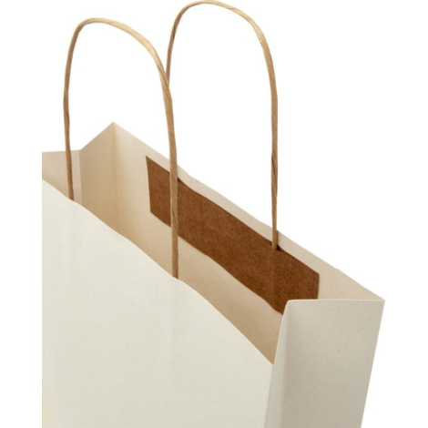 Sac Kraft personnalisé résidus agricoles 24x24x9 cm