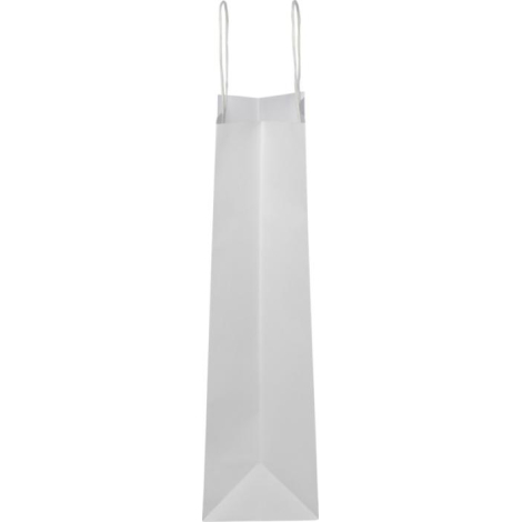 Sac en papier Kraft personnalisé taille moyenne 24x32x9 cm