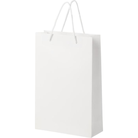 Grand sac en papier personnalisable 24x36x9 cm