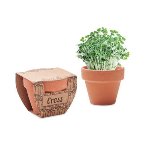 Pot avec graines de cresson à personnaliser CRESS POT