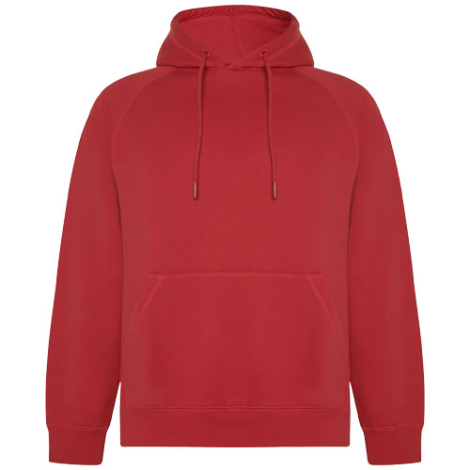 Sweat à capuche unisexe 300gr personnalisable Vinson ROLY
