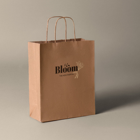 Sac en papier promotionnel 25x30x11 cm GALI