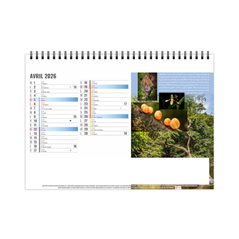 Chevalet publicitaire standard 13 feuillets - Equateur