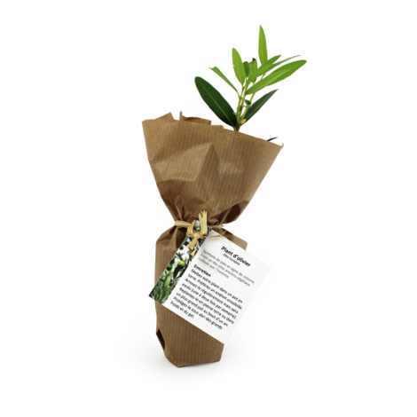 Mini plant d'arbre fibre de bois personnalisable
