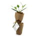 Mini plant d'arbre fibre de bois personnalisable