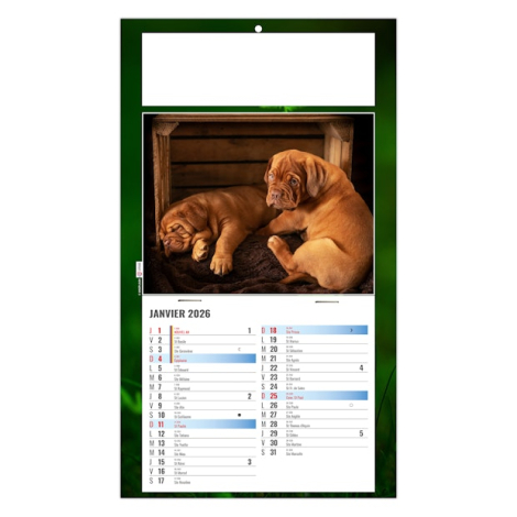 Calendrier 2026 personnalisable plaque 1 vue - Rex