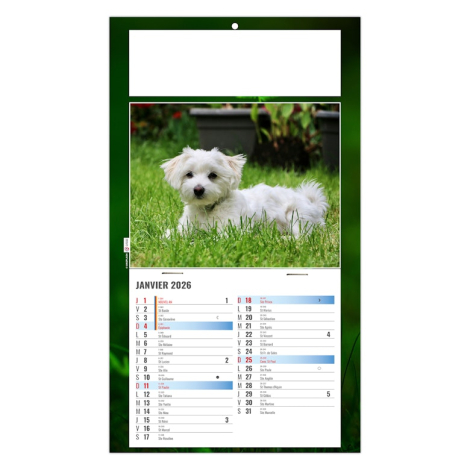 Calendrier 2026 personnalisable plaque 1 vue - Rex
