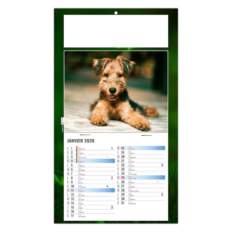 Calendrier 2026 personnalisable plaque 1 vue - Rex