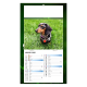 Calendrier 2026 personnalisable plaque 1 vue - Rex