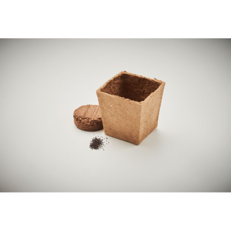 Kit publicitaire de graines de menthe MINT KIT