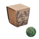 Kit publicitaire de graines de menthe MINT KIT